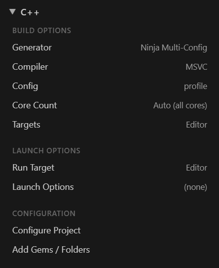The C++ section: Build Options, Launch Options, and Configuration rows.
